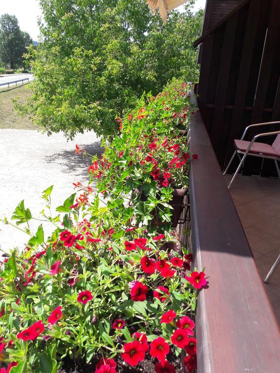 House Anamarija Hotel Seliste Dreznicko Exterior photo